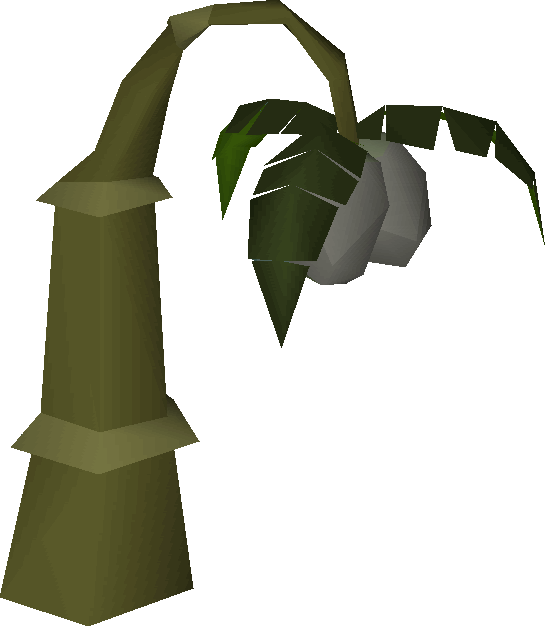 Pineapple plant - OSRS Wiki