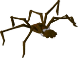 Huge spider