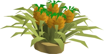 Pineapple plant - OSRS Wiki