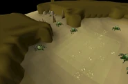 Kalphite Cave.png (130 KB) A kalphite habitat. The dead entomologist, Buggie, who brought them there, can be seen in the back.
