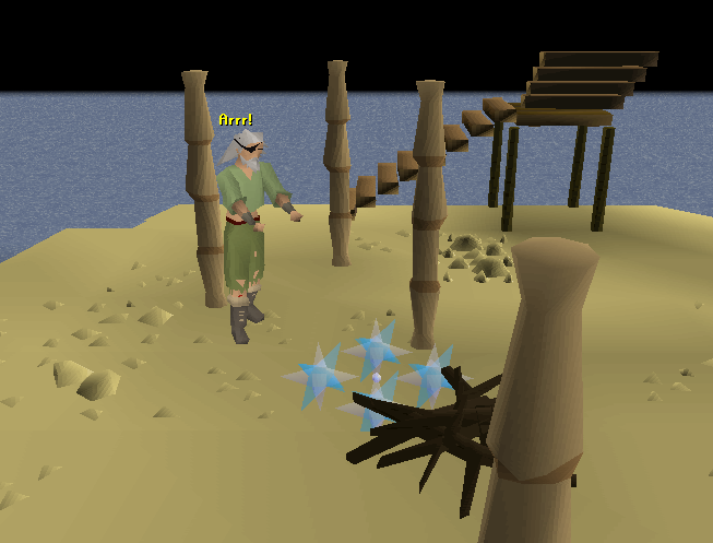 The Corsair | Old School RuneScape Wiki | Fandom