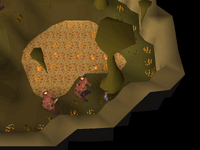Cryptic clue - dig deep wilderness dungeon end.png