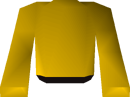 Yellow robe top detail