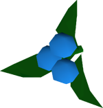 Dwellberries detail