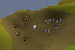 Lumbridge Swamp training mine