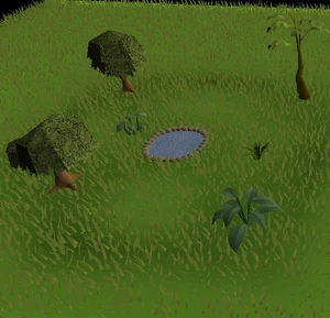 A Garden in a POH.