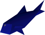 Raw giant carp detail