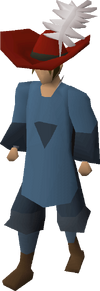 Musketeer outfit equipped.png
