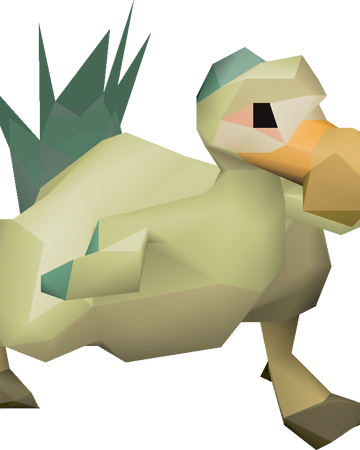 Chompy Chick Old School Runescape Wiki Fandom Chompy Chick Old School Runescape Wiki Fandom