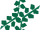 Giant seaweed