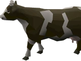 Cow