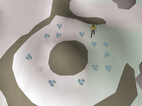 Cryptic clue - dig trollweiss flowers.png