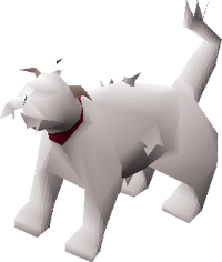 Lazy cat (white) pet