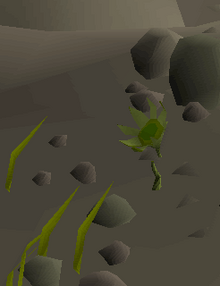 Troll Thistle.png