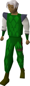 Green d'hide armour equipped