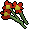 Red flowers.png