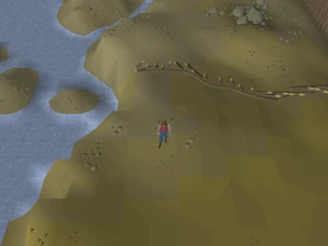 Hot cold clue - outside Rellekka fence