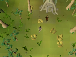 Coordinate clue 00.18S 09.28E