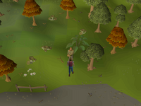 Cryptic clue - talk to falo.png