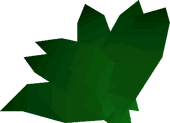 Guam leaf detail