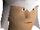 Armadyl coif chathead.png