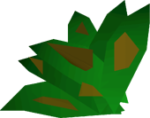 Grimy marrentill detail