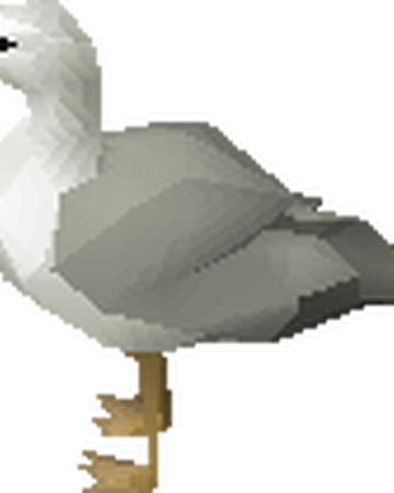 seagull old school runescape wiki fandom seagull old school runescape wiki