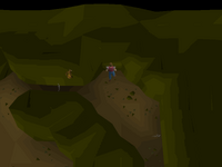 Cryptic clue - dig shadow dungeon.png