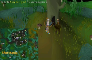 Myreque Hollows Hideout