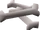 Babydragon bones