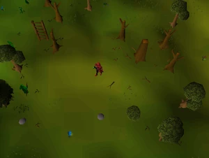 Hot cold clue - Southwest Tree Gnome Stronghold