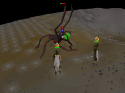 Fighting Venenatis