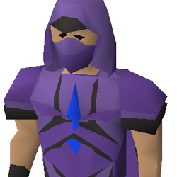 Champion sweatshirt outfit osrs hotsell