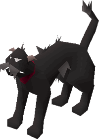 Wily cat (black) pet