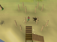Cryptic clue - dig Ithoi's cabin.png