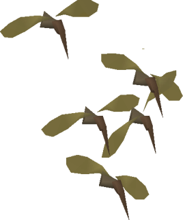 Mosquito large swarm