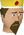 King Roald chathead.png