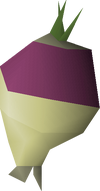 Shrunk ogleroot detail