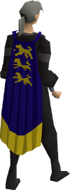 Champion's cape equipped