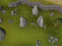 Cryptic clue - dig ominous stones falador.png