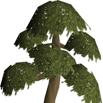 Yew - Osrs Wiki