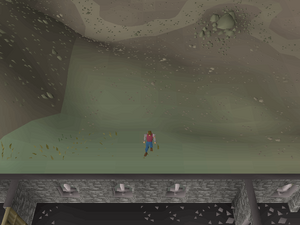 Hot cold clue - north of Warriors Guild