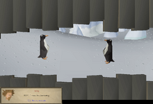 Spying on penguins