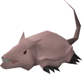 Brine rat