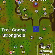 Elder Gnome child location