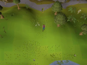 Hot cold clue - Lumbridge pond
