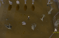 Cryptic clue - dig graveyard wilderness.png