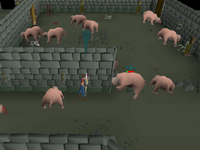 Cryptic clue - kill bloodveld.png