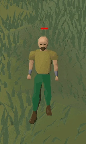 Death Old School Runescape Wiki Fandom