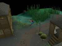 Canifis Agility Course 6